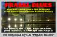PRASKI BLUES VIII - zespół Tipsy Drivers oraz Jam Session
