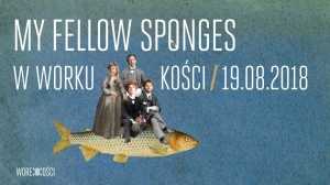 My Fellow Sponges