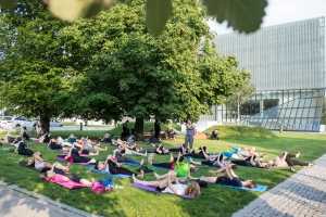 Zajęcia ruchowe: joga na Łące Leśmiana