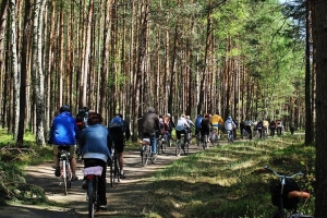 Lasy Osieckie - wycieczka rowerowa