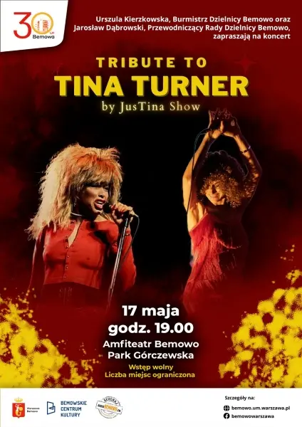 Tribute to Tina Turner