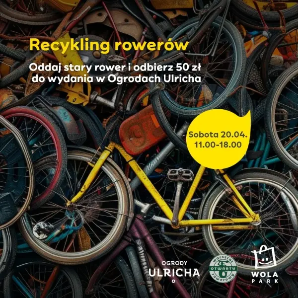 Recykling rowerów, czyli drugie życie dwóch kółek